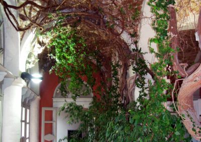 Fermo-villa Vitali0